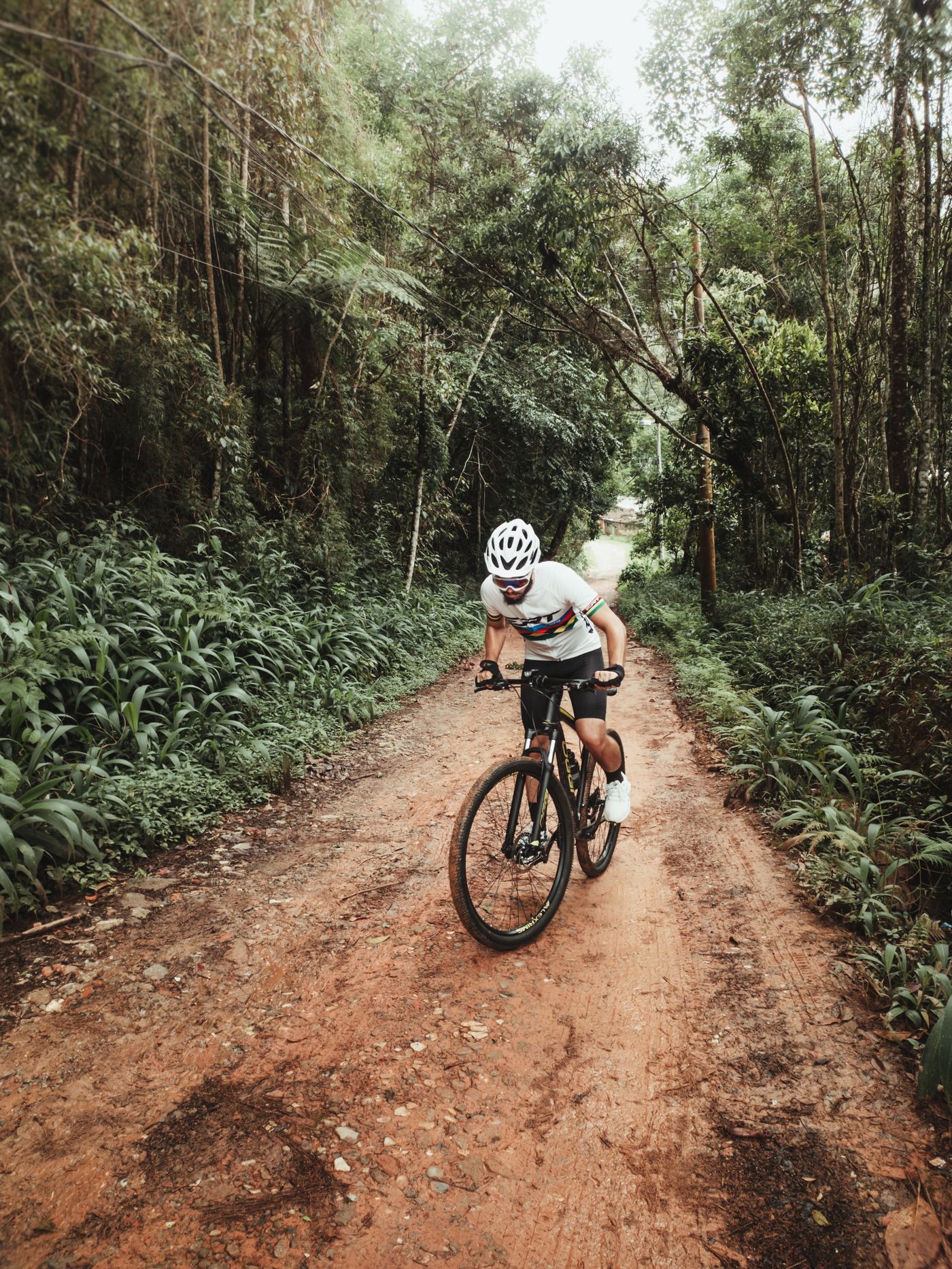 Ciclista in salita in un bosco di montagna
