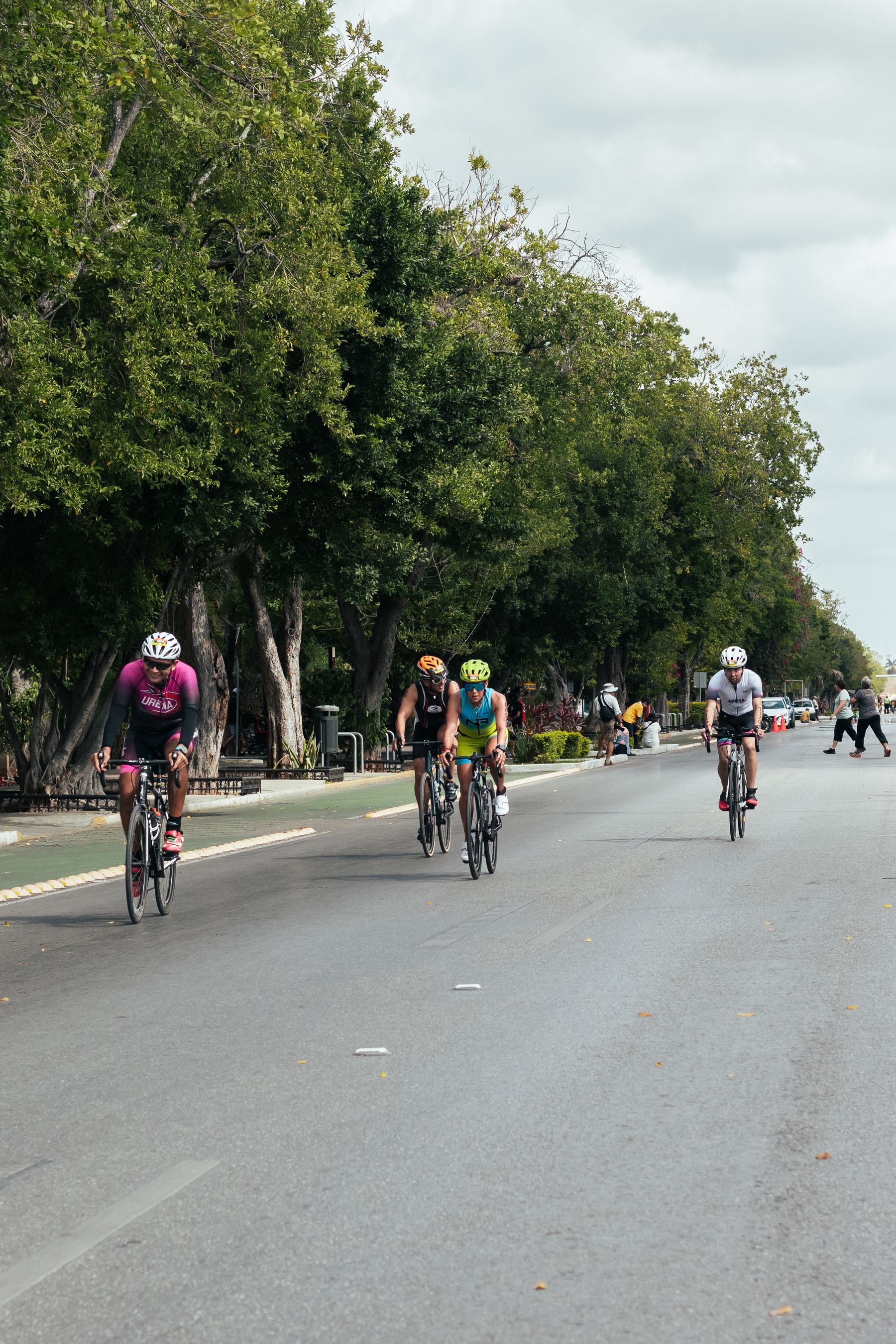 Gruppo di ciclisti su un viale alberato